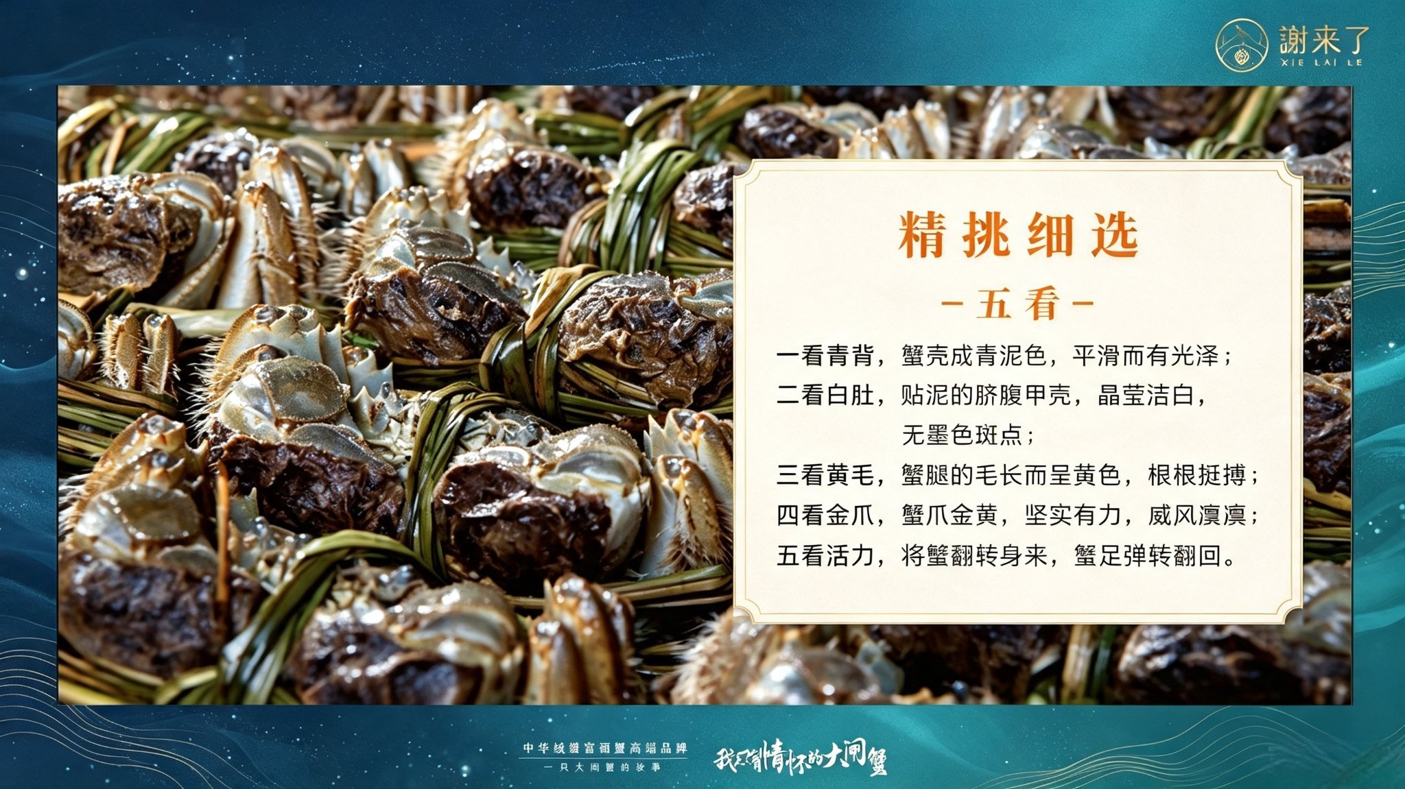 合肥中秋送礼怎么选？高品质中秋节大闸蟹礼盒